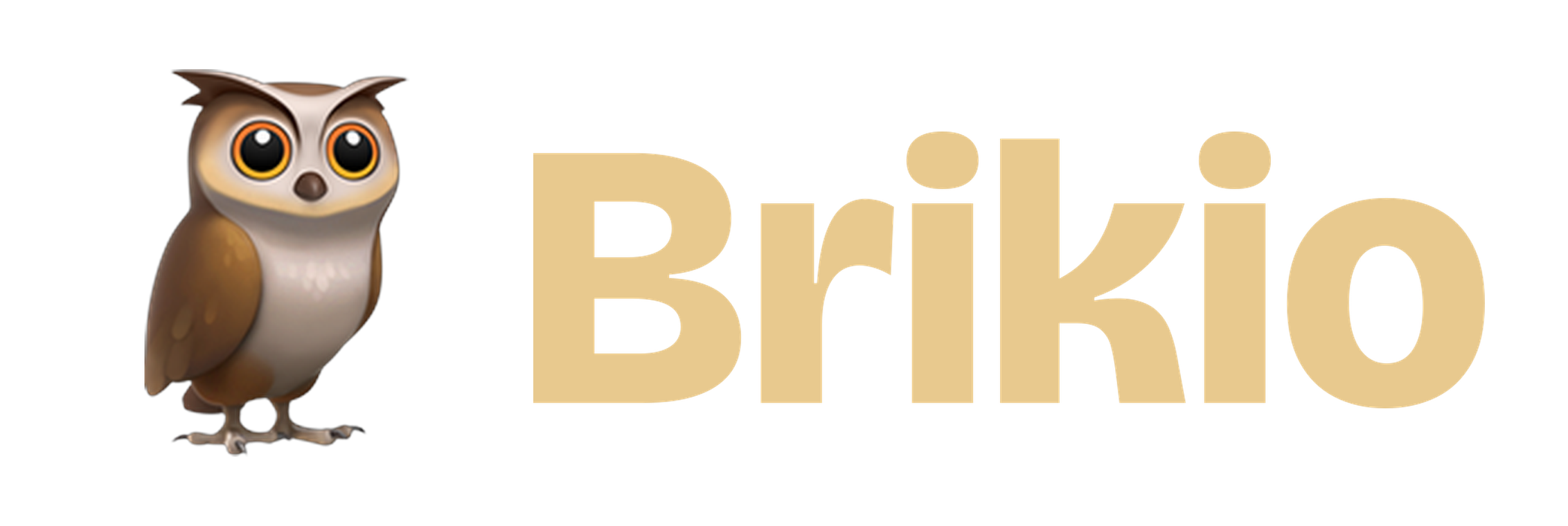 Brikio logosu